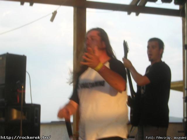  A Loosing Season, Bdi Rock Band, Decadence, Dethroned Humanity, Dysentery, Eternal Bleeding, Ideate Dream, Massgrave Symphonies, Massgraves Symphonies, Mytra, Nadir, Remorse, Scandic Pop, Sollen, Subscribe, Vale Of Tears, Wagon - Fot: Fmvirg, Wounded