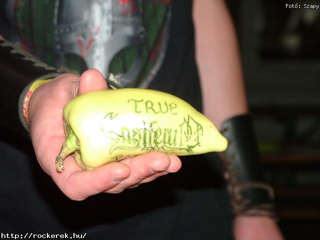  Up the Irons,  Blaze Bayley,  Dalriada,  Walls of Jericho,  Mantra,  Blind Myself,  Kryptos,  Nightquest - Fot: Szapy