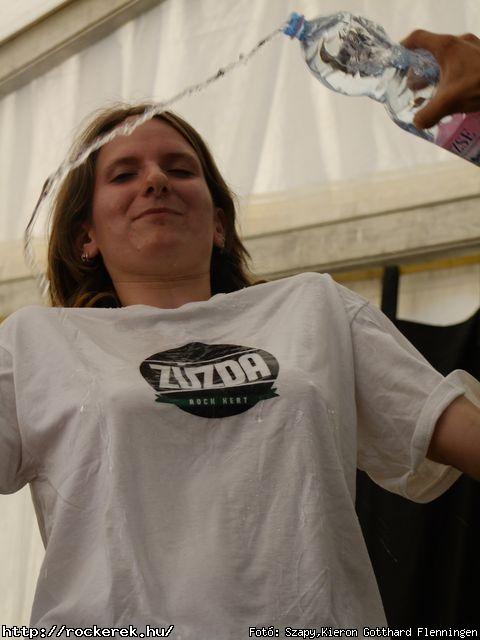  Niburta, Insane, Alestorm, Rzsaszn Pittbull - Fot: Szapy,Kieron Gotthard Flenningen
