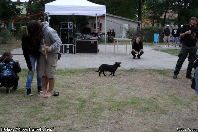  Ankh,  Paranoid,  Twister,  Vesztegzr,  Bastards,  Psycho Angels - Fot: Riana