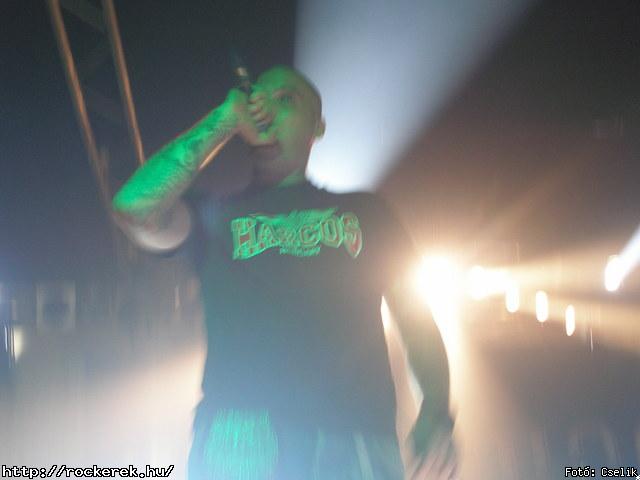  Panzer,  Hungarica,  Nagy Fer - Fot: Cselik