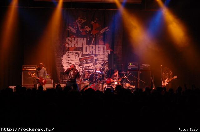  Gogol Bordello,  Skindred - Fot: Szapy
