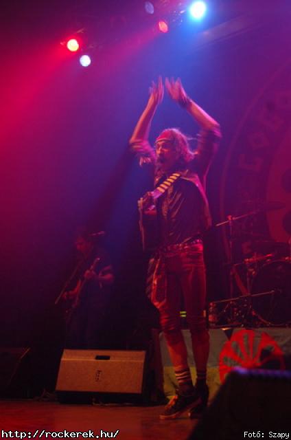  Gogol Bordello,  Skindred - Fot: Szapy