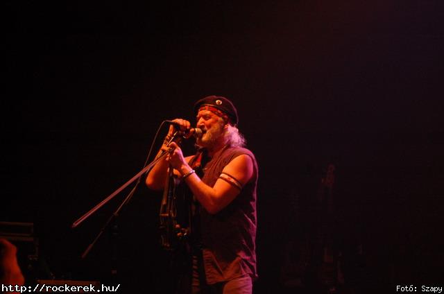  Gogol Bordello,  Skindred - Fot: Szapy