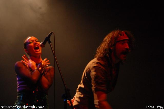  Gogol Bordello,  Skindred - Fot: Szapy