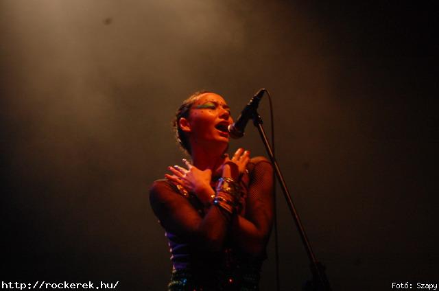  Gogol Bordello,  Skindred - Fot: Szapy