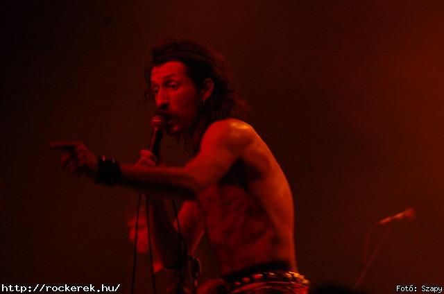  Gogol Bordello,  Skindred - Fot: Szapy