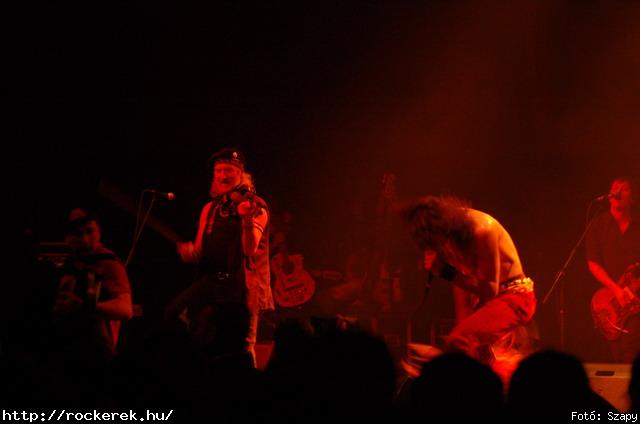  Gogol Bordello,  Skindred - Fot: Szapy