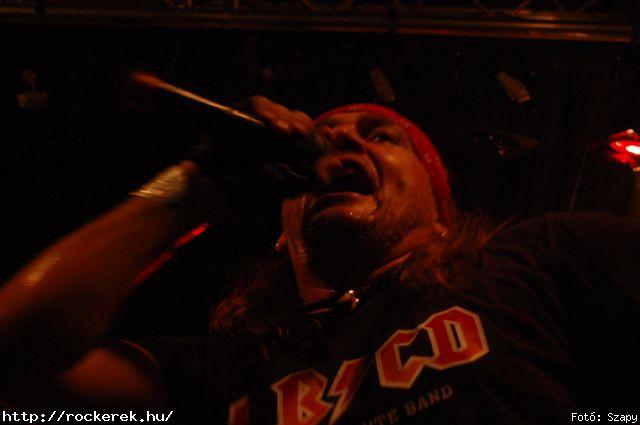  Hollywood Rose - Fot: Szapy