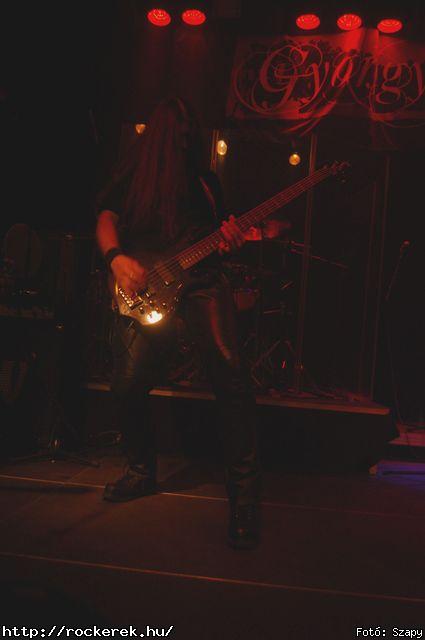  Dharma,  Gyngyvr - Fot: Szapy