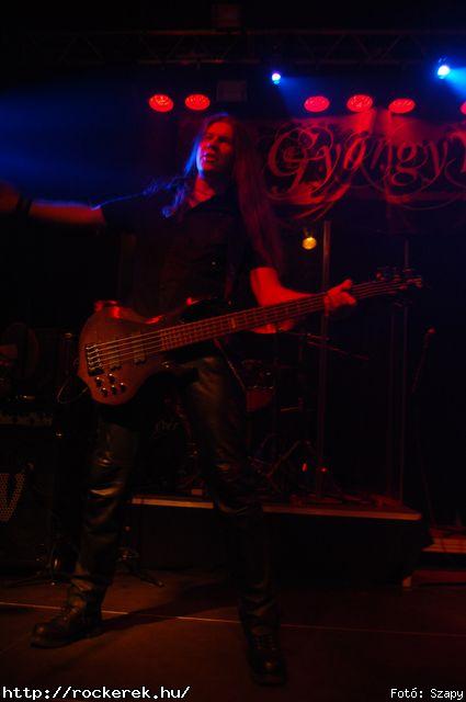  Dharma,  Gyngyvr - Fot: Szapy