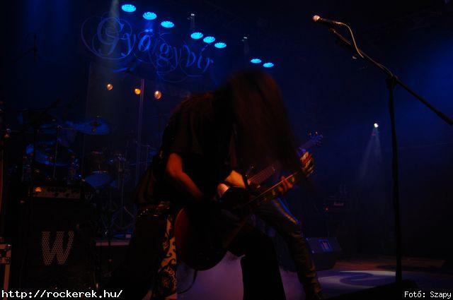  Dharma,  Gyngyvr - Fot: Szapy