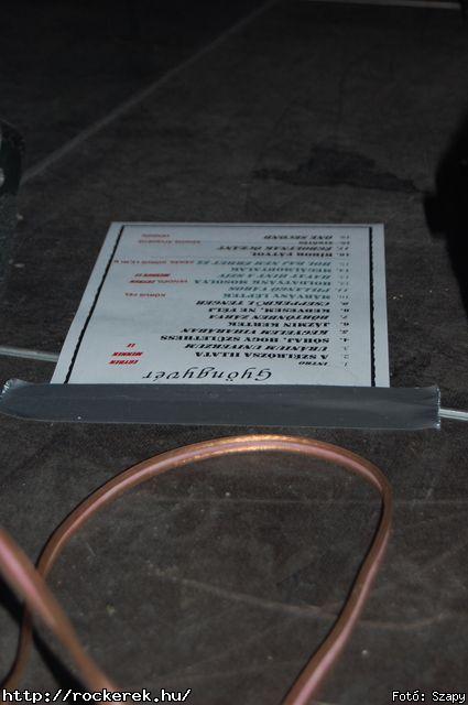  Dharma,  Gyngyvr - Fot: Szapy