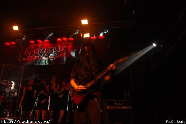  Dharma,  Gyngyvr - Fot: Szapy