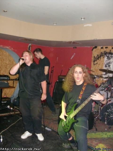  Kerecsenslyom - Fot: Brigusz