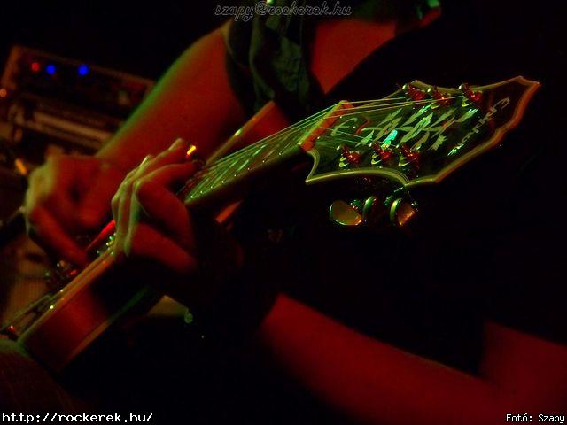  Hollywood Rose - Fot: Szapy