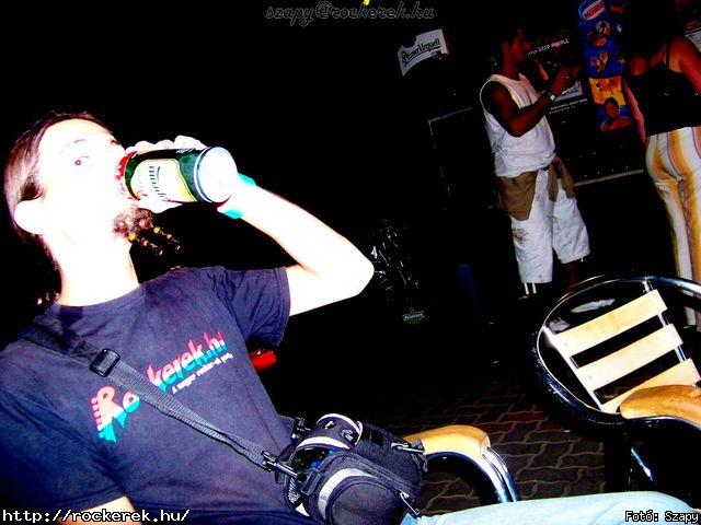  Hollywood Rose - Fot: Szapy