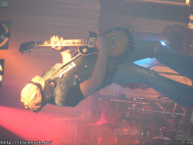  Hollywood Rose - Fot: Riona