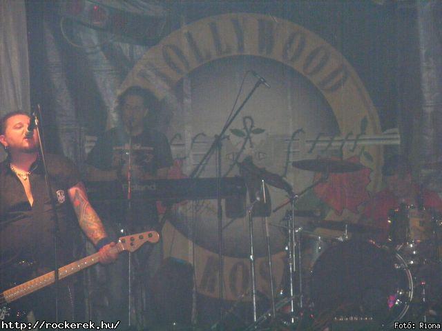  Hollywood Rose - Fot: Riona