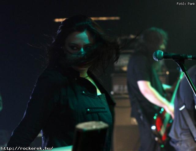  Kerecsenslyom, Nevergreen, Tzmadr - Fot: Pank