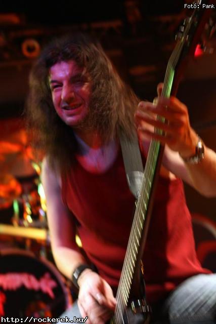  Kerecsenslyom, Nevergreen, Tzmadr - Fot: Pank