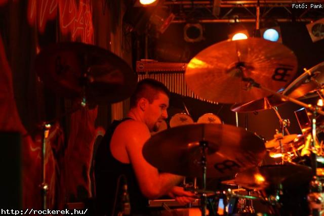  Kerecsenslyom, Nevergreen, Tzmadr - Fot: Pank