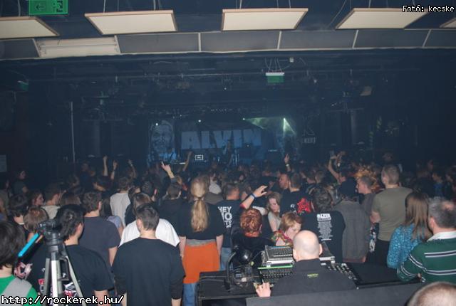  Alvin s A Mkusok, Black Sound, Fekete Teve, Prosectura - Fot: kecske