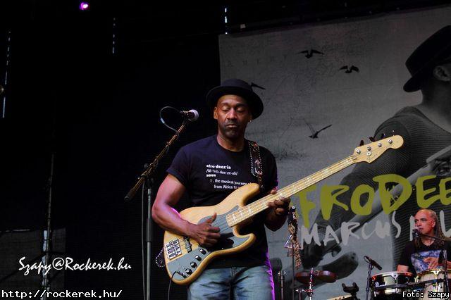  Marcus Miller - Fot: Szapy