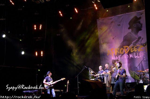  Marcus Miller - Fot: Szapy