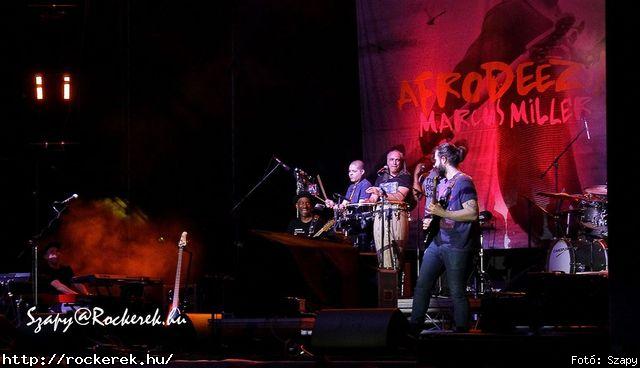  Marcus Miller - Fot: Szapy