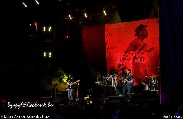 Marcus Miller - Fot: Szapy