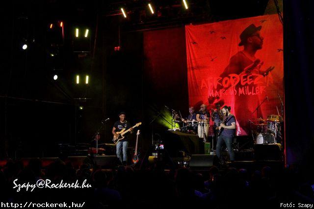  Marcus Miller - Fot: Szapy