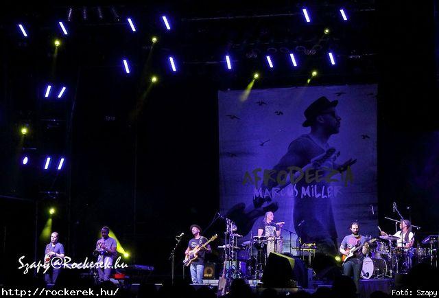  Marcus Miller - Fot: Szapy