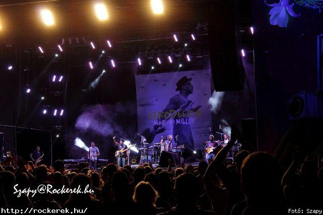  Marcus Miller - Fot: Szapy