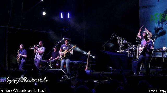  Marcus Miller - Fot: Szapy
