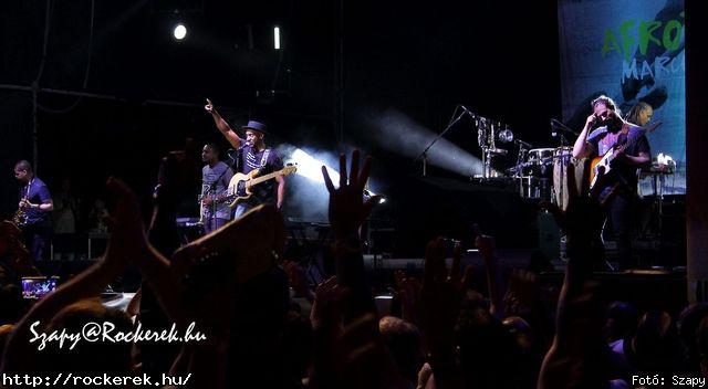  Marcus Miller - Fot: Szapy