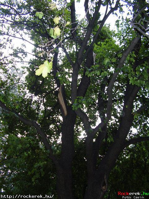 P9160031.JPG