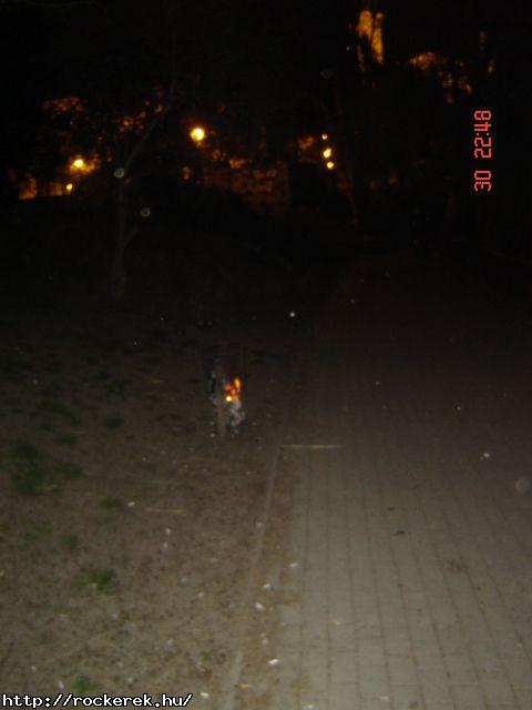 P3300035.JPG