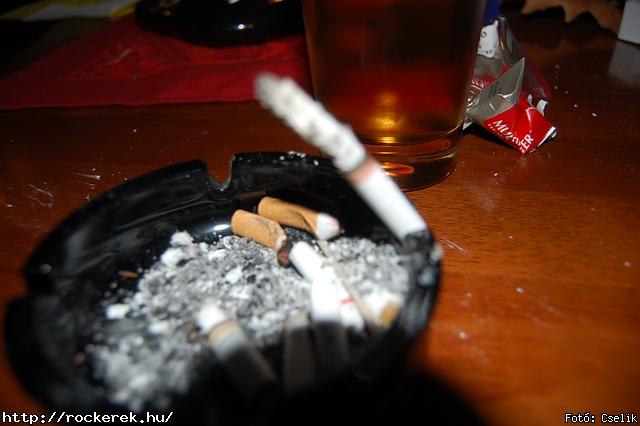 PB100118.JPG - Fot: Cselik