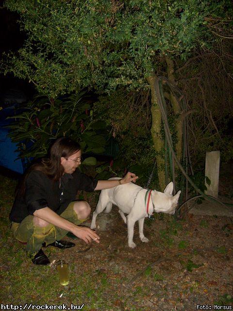  Fly-Tox,  Green Chillers,  Rocken Dogs,  Kerecsen,  Mr. Eddie Krueger,  Vaktltny,  Kpr Sndor Npi Zenekara - Fot: Morsus