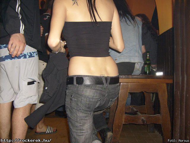  Fly-Tox,  Green Chillers,  Rocken Dogs,  Kerecsen,  Mr. Eddie Krueger,  Vaktltny,  Kpr Sndor Npi Zenekara - Fot: Morsus