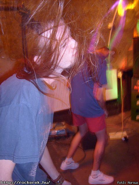  Fly-Tox,  Green Chillers,  Rocken Dogs,  Kerecsen,  Mr. Eddie Krueger,  Vaktltny,  Kpr Sndor Npi Zenekara - Fot: Morsus