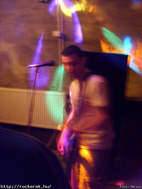  Fly-Tox,  Green Chillers,  Rocken Dogs,  Kerecsen,  Mr. Eddie Krueger,  Vaktltny,  Kpr Sndor Npi Zenekara - Fot: Morsus