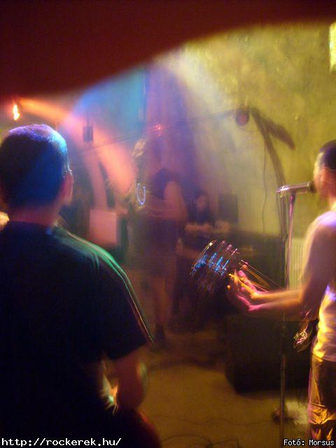  Fly-Tox,  Green Chillers,  Rocken Dogs,  Kerecsen,  Mr. Eddie Krueger,  Vaktltny,  Kpr Sndor Npi Zenekara - Fot: Morsus