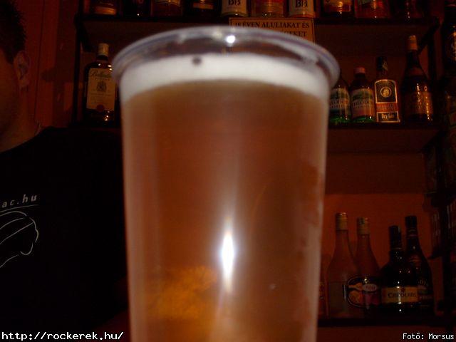  Fly-Tox,  Green Chillers,  Rocken Dogs,  Kerecsen,  Mr. Eddie Krueger,  Vaktltny,  Kpr Sndor Npi Zenekara - Fot: Morsus