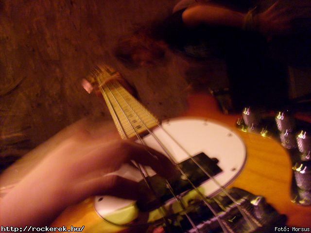  Fly-Tox,  Green Chillers,  Rocken Dogs,  Kerecsen,  Mr. Eddie Krueger,  Vaktltny,  Kpr Sndor Npi Zenekara - Fot: Morsus