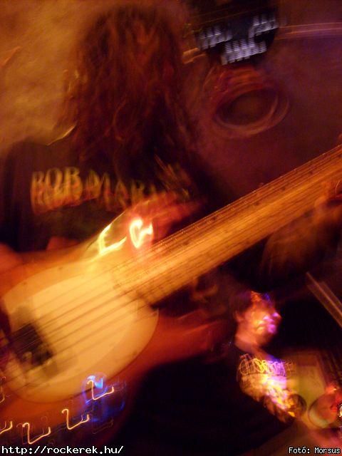  Fly-Tox,  Green Chillers,  Rocken Dogs,  Kerecsen,  Mr. Eddie Krueger,  Vaktltny,  Kpr Sndor Npi Zenekara - Fot: Morsus