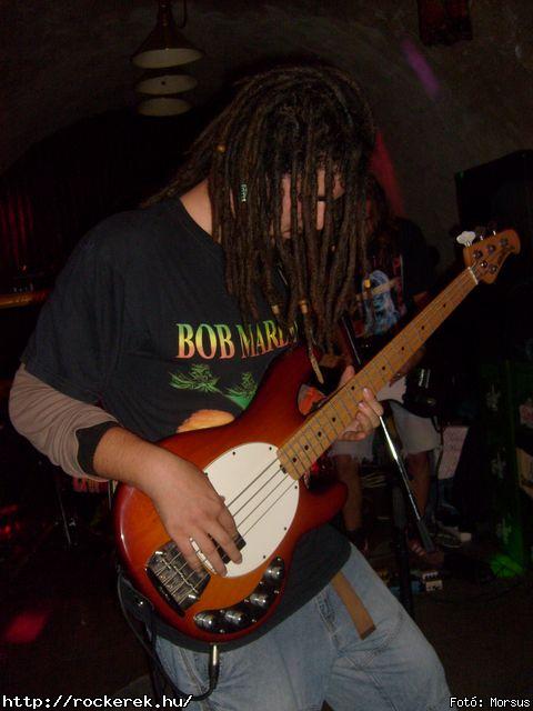  Fly-Tox,  Green Chillers,  Rocken Dogs,  Kerecsen,  Mr. Eddie Krueger,  Vaktltny,  Kpr Sndor Npi Zenekara - Fot: Morsus