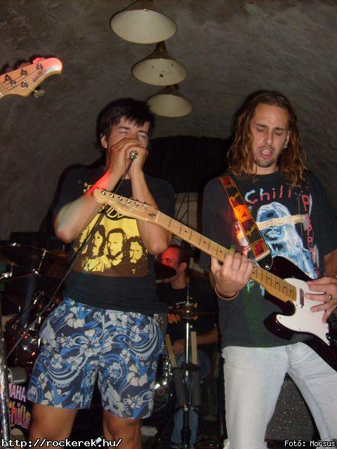  Fly-Tox,  Green Chillers,  Rocken Dogs,  Kerecsen,  Mr. Eddie Krueger,  Vaktltny,  Kpr Sndor Npi Zenekara - Fot: Morsus