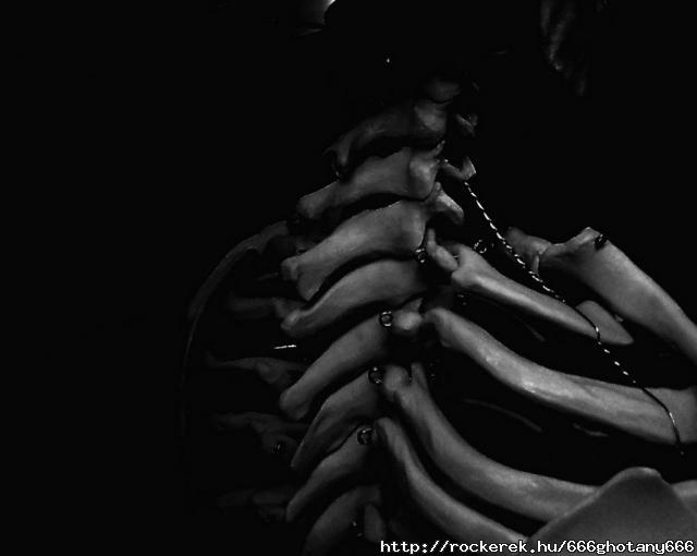 Human traits